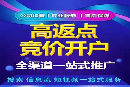 搜索引擎营销（SEM）推广策略案例分享